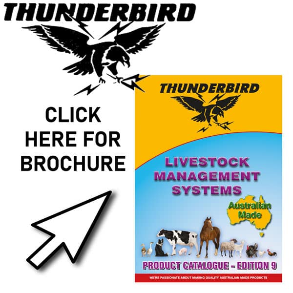 Thunderbird Brochure