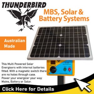 Thunderbird Energisers