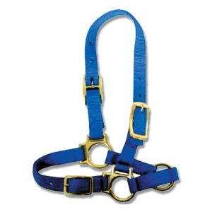 Halter for Sheep & Goats