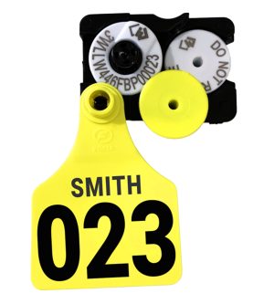 Fofia Tray Pack Matching Tags