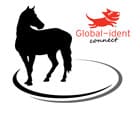 Global-Ident Equine Microchips