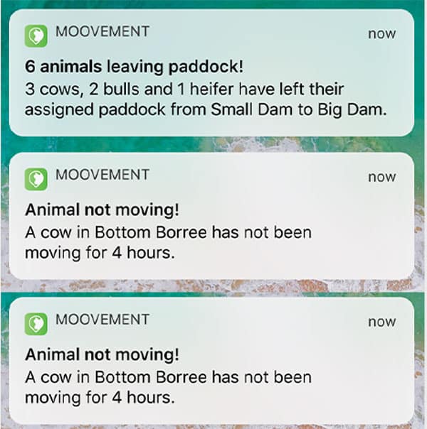 MOOvement Management Hub - 4Tags.com.au