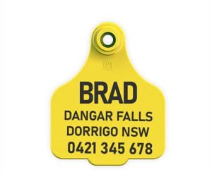 Key Rings & Bag Tags