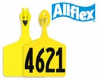 Allflex Feedlot Tags