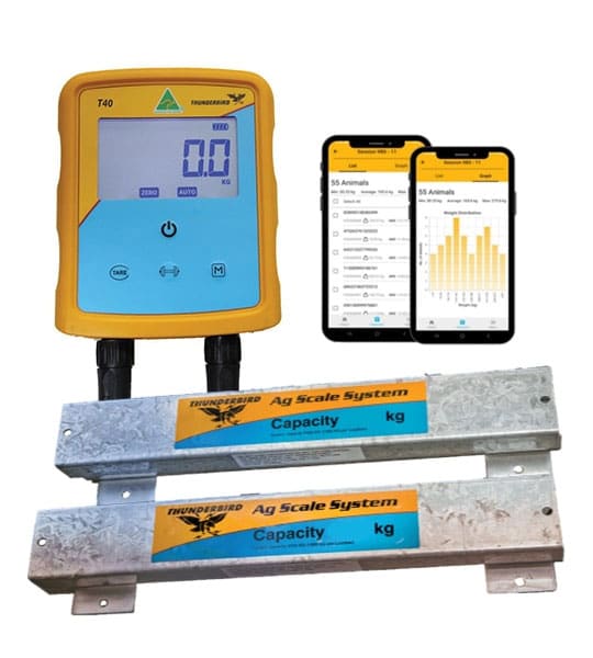 Thunderbird Sheep Bundle - Image 2