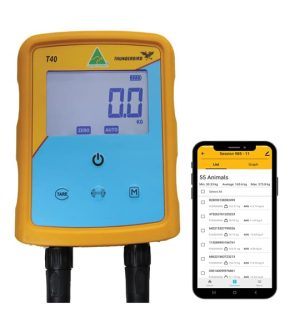 Thunderbird T40 Indicator