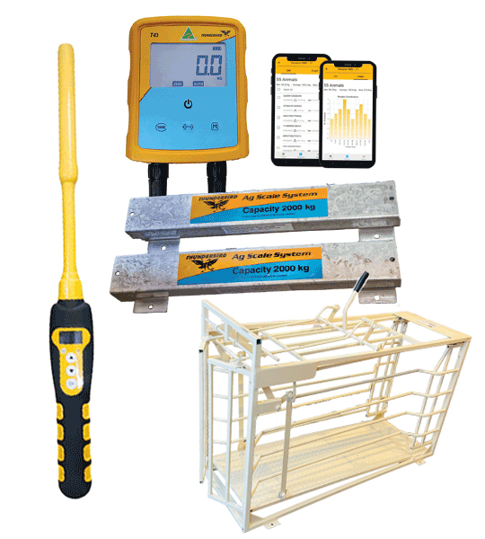 Thunderbird Sheep Bundle