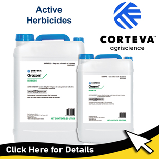 2024-310-homeCorteva Y-Tex FlyTags