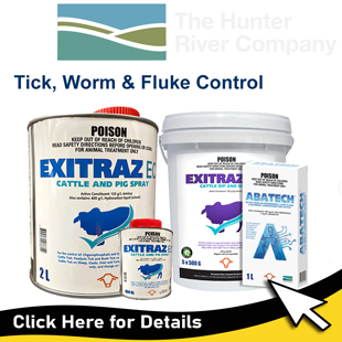 2024-310-homeHunter-River Bayer FlyTags