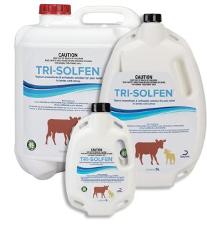Tri-Solfen Topical anaesthetic lambs & calves