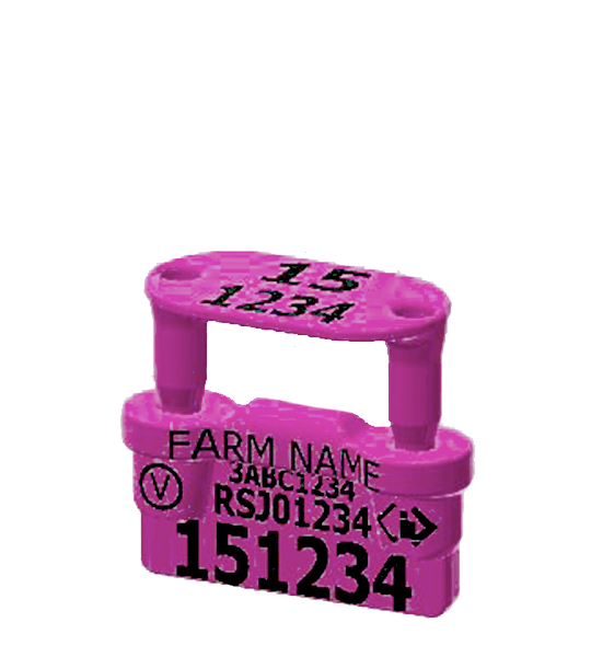 Endurotag WA NLIS EID Sheep & Goat Tag - Image 3