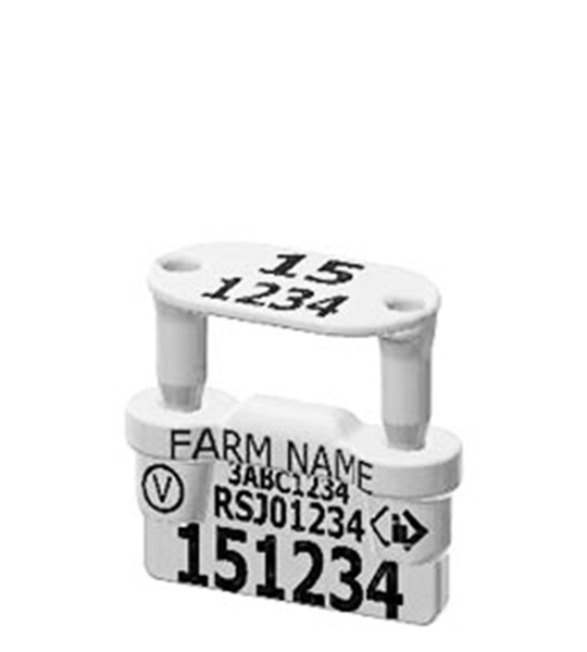 Endurotag WA NLIS EID Sheep & Goat Tag - Image 2