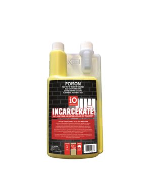 iO Incarcerate