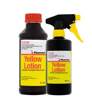Yellow Lotion