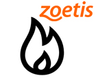 What's Hot Zoetis