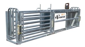 Norton Read Ready Race Bundles