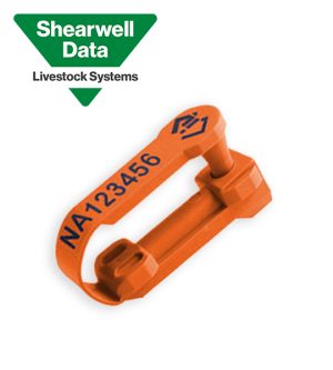 Shearwell SET EID NLIS Sheep & Goat Tags