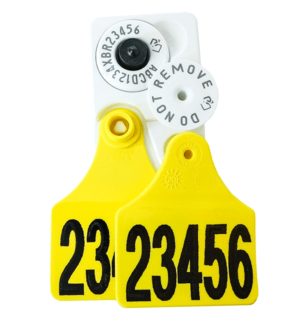 Allflex NLIS Large + Large Combo