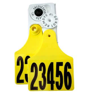 Allflex NLIS Maxi + Maxi Combo