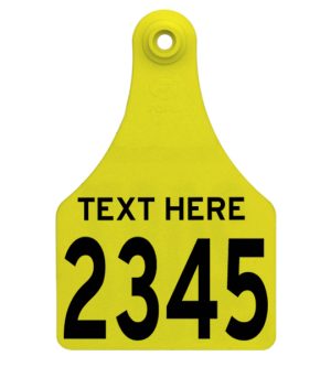 Fofia Extra Large (Maxi) Female