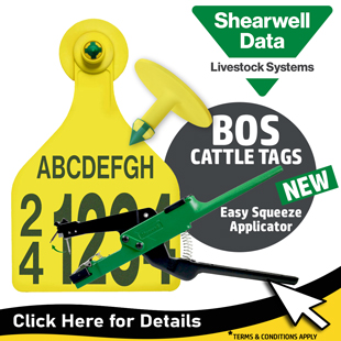 2025-homepageShearwell-BOS-Tags