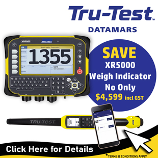 2025-homepagetrutest-xr5000