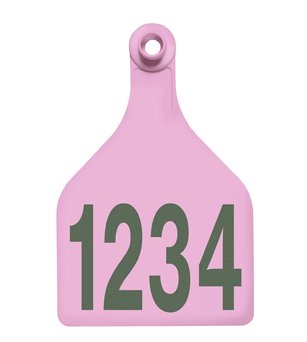 Shearwell BOS XL (Maxi) Female Cattle Tag - Image 7