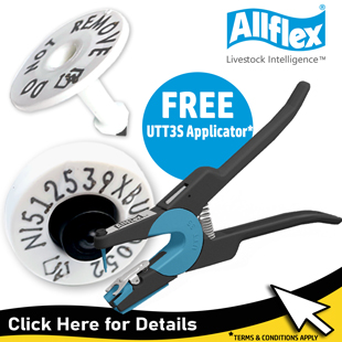 2025-homepageAllflex-FREE-UTT3S