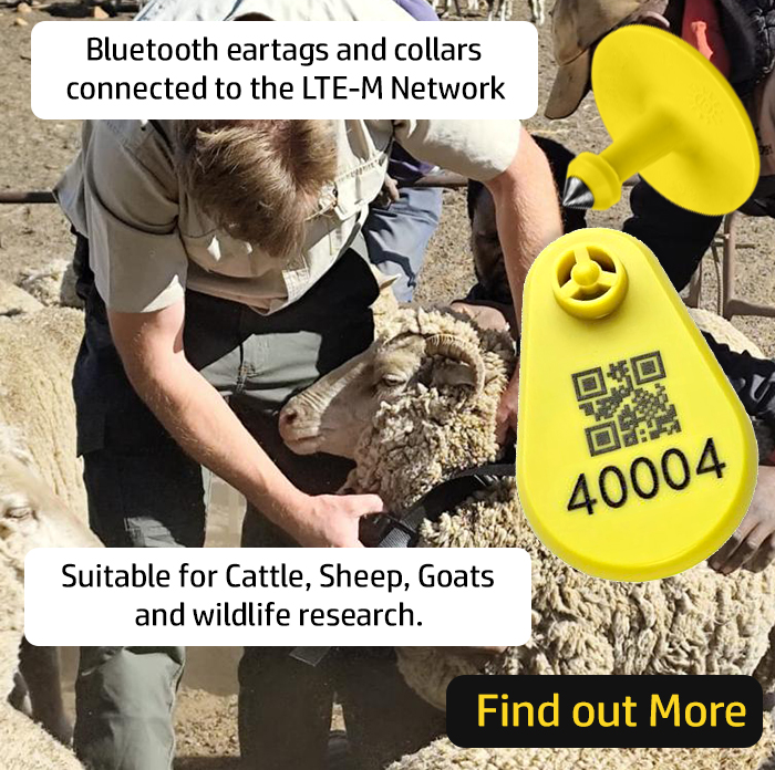 posts-articlesGrazer