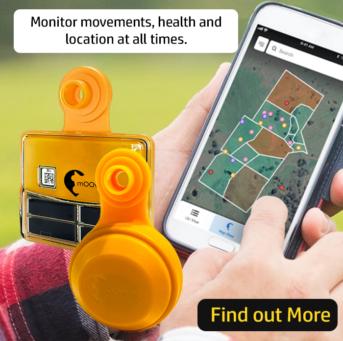 posts-articlesmoovement