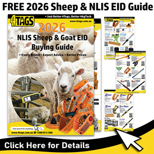 2025-homepageSheep-EID-Guide-2026