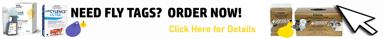 2026-homepageFly-Tags-order-now