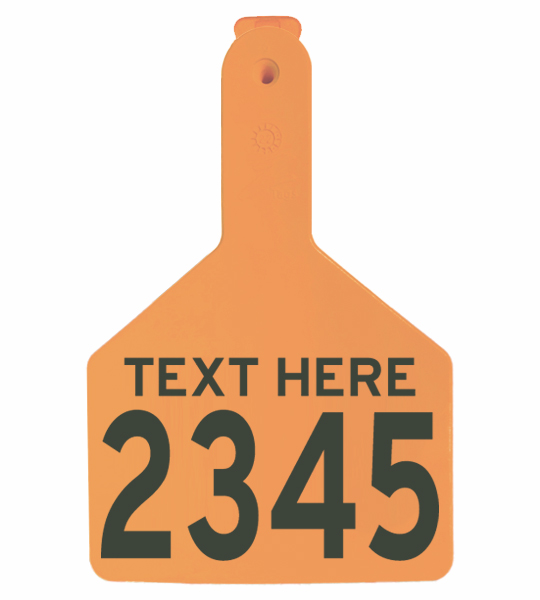 Fofia One-Piece XL Generic Cattle Tag - Image 7