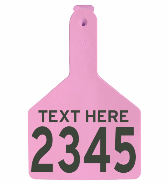 Fofia One-Piece XL Generic Cattle Tag - Image 8