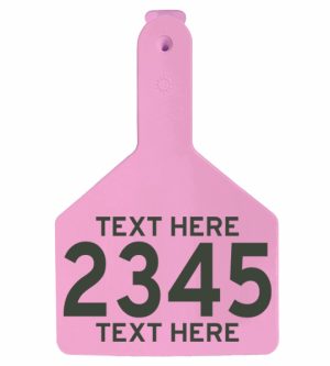 Fofia One-Piece XL Feedlot Cattle Tag