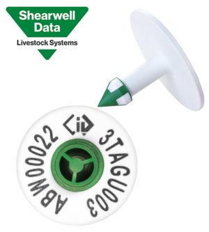 Shearwell NLIS Cattle Tag