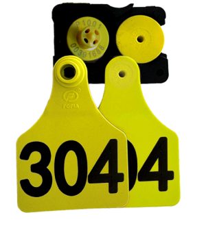 Fofia Bundle, Medium plus EID FDX-B Button