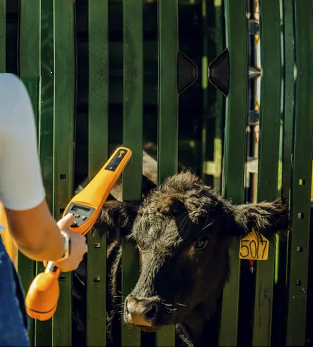 Gallagher HR0 Hand Held EID Tag Reader - Image 2