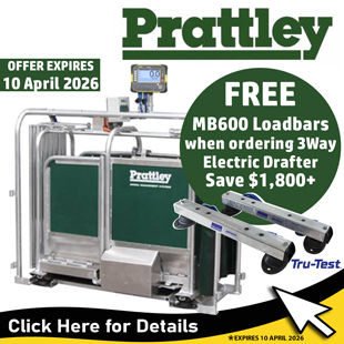 2026-homepagePrattley-MB600-Bundle