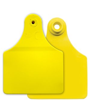 Allflex Maxi Male or Female, Blank