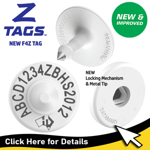 2026-homepageNew-ZTag-F4Z-NLIS