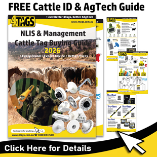 2026-homepageCattle-Tag-Buying-Guide-1