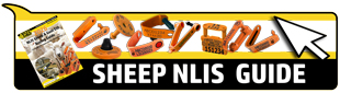 2026-homepageSheeptag-Buying-Guide