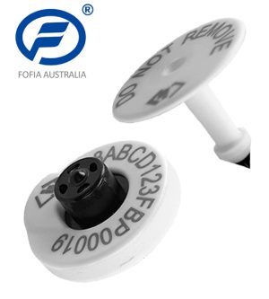 Fofia NLIS Cattle Tag