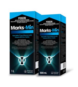 Marks-Min Plus Vitamin B12
