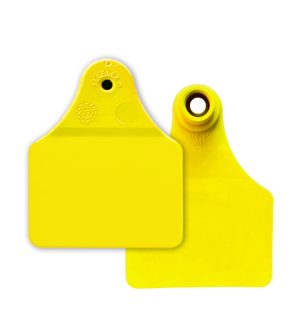 Allflex Large Male or Female, Blank